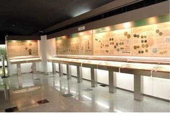 India Monetary Museum — Numismatics Gallery — Wildflowers Spatial & Interior Designers